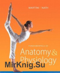 Fundamentals of Anatomy & Physiology (9th Edition)