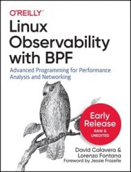 Linux Observability with BPF: Advanced Programming for Performance Analysis and Networking (Early Release)