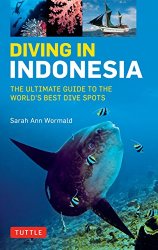 Diving in Indonesia: The Ultimate Guide to the World's Best Dive Spots