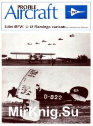 Aircraft Profile 257: Udet (BFW) U-12 Flamingo variants