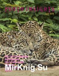 Photo Insights Issue 6 2019