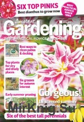 Amateur Gardening - 8 June 2019