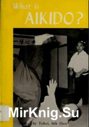 What Is Aikido?