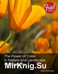 The Power of Color in Nature and Landscape Photography