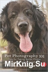 Pet Photography 101: Tips for taking better photos of your dog or cat!