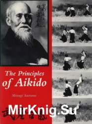 The Principles of Aikido