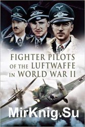 Fighter Aces of the Luftwaffe in World War 2