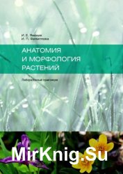 Анатомия и морфология растений