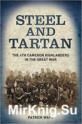 Steel and Tartan: The 4th Cameron Highlanders in the Great War