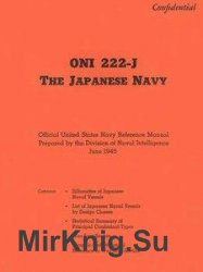 The Japanese Navy