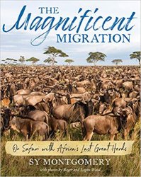 The Magnificent Migration: On Safari with Africa's Last Great Herds