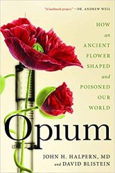 Opium: How an Ancient Flower Shaped and Poisoned Our World