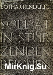 Soldat in stuerzenden Reichen