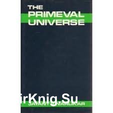 The Primeval Universe