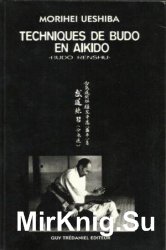 Techiqes de Budo en Aikido. Budo Renshu