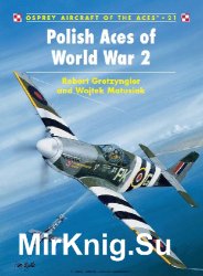 Polish Aces of World War 2 (Osprey Aircraft of the Aces 21)