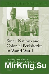 Small Nations and Colonial Peripheries in World War I (History of Warfare)
