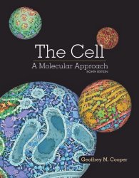 The Cell: A Molecular Approach