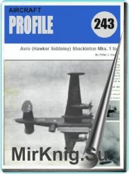 Aircraft Profile  243