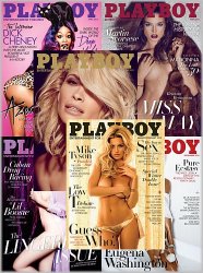 Playboy USA - Full Year 2015