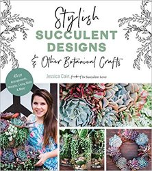 Stylish Succulent Designs: & Other Botanical Crafts