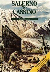 Mediterranean Theater of Operations: Salerno to Cassino - United States Army in World War II