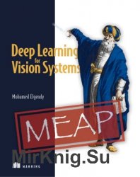 Deep Learning for Vision Systems