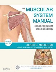 The Muscular System Manual: The Skeletal Muscles of the Human Body 4th Edition
