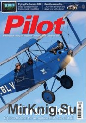 Pilot - January 2020