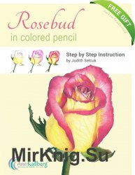 Rosebud in Colored Pencil