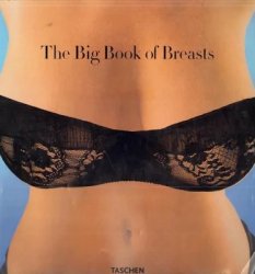 The Big Book of Breasts The Golden Age of Natural Curves