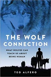 The Wolf Connection: What Wolves Can Teach Us about Being Human