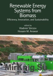 Renewable Energy Systems from Biomass: Efficiency, Innovation, and Sustainability