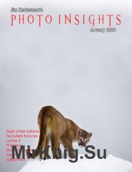 Photo Insights Issue 1 2020