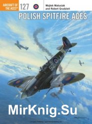 Polish Spitfire Aces (Osprey Aircraft of the Aces 127)