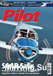 Pilot - February 2020