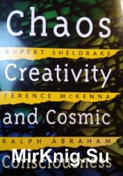 Chaos, creativity and cosmic consciosness