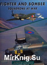 Fighter and Bomber Squadrons at War