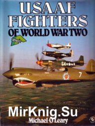 USAAF Fighters of World War Two in Action