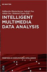 Intelligent Multimedia Data Analysis