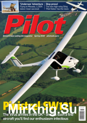 Pilot - Spring 2020