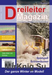 Dreileiter Magazin 3/2020
