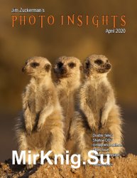 Photo Insights Issue 4 2020