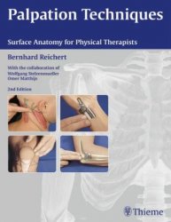 Palpation techniques : surface anatomy for physical therapists