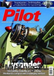 Pilot - June 2020