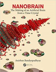 Nanobrain: The Making of an Artificial Brain from a Time Crystal