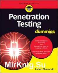 Penetration Testing For Dummies