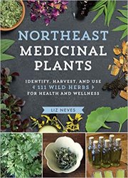Northeast Medicinal Plants