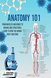 Anatomy 101: From Muscles and Bones to Organs and Structures, Guide to How the Human Body Functions