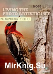 Living the Photo Artistic Life Issue 65 2020